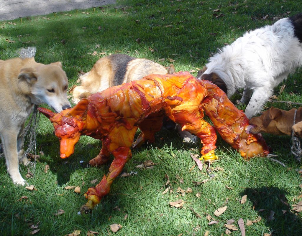 Fox Hunting